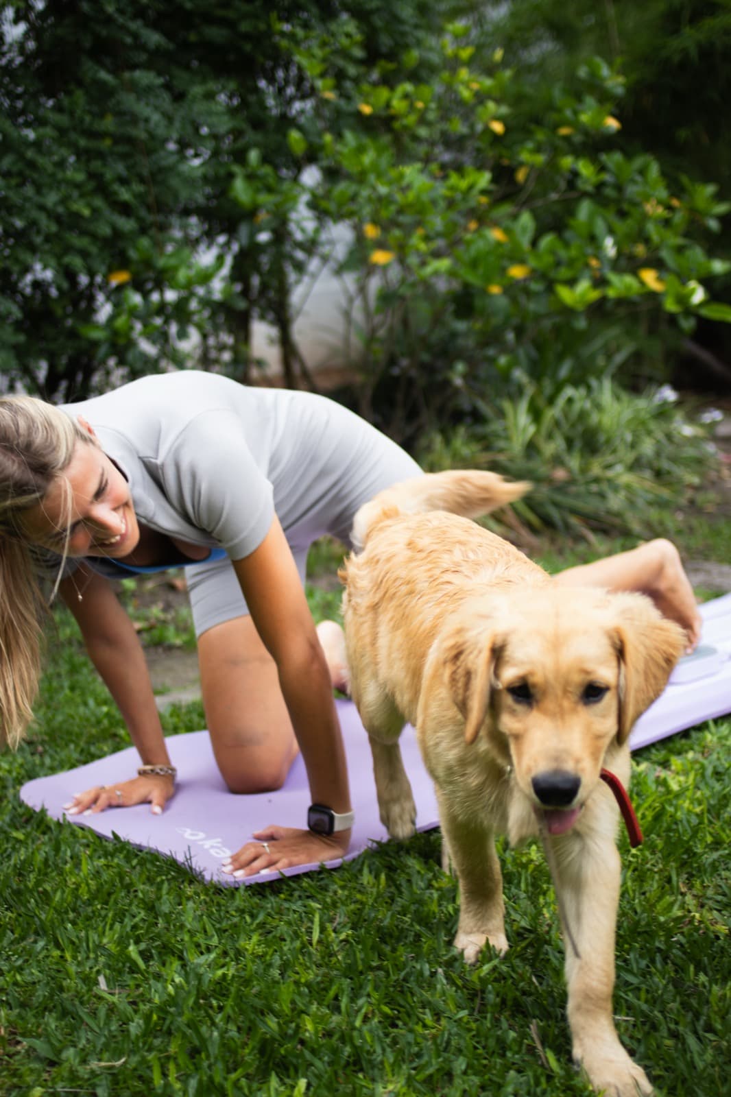 Compact Fit Pilates Basics